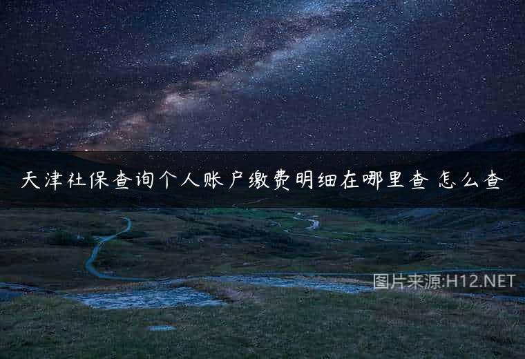 天津社保查询个人账户缴费明细在哪里查 怎么查