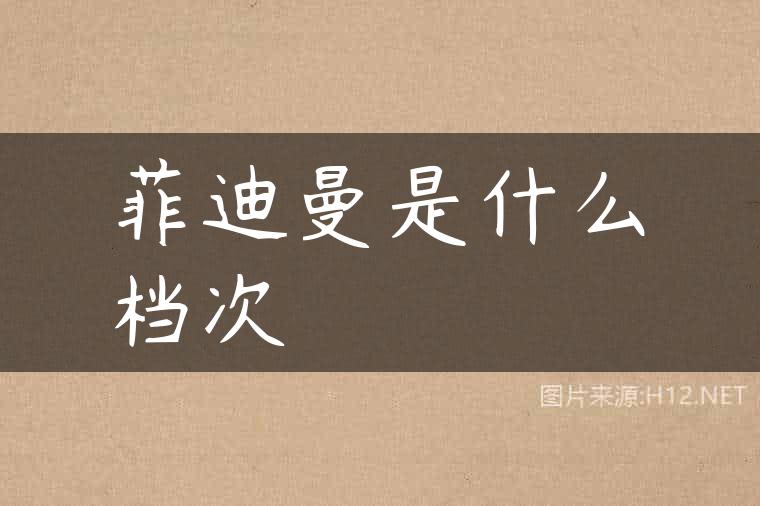 菲迪曼是什么档次