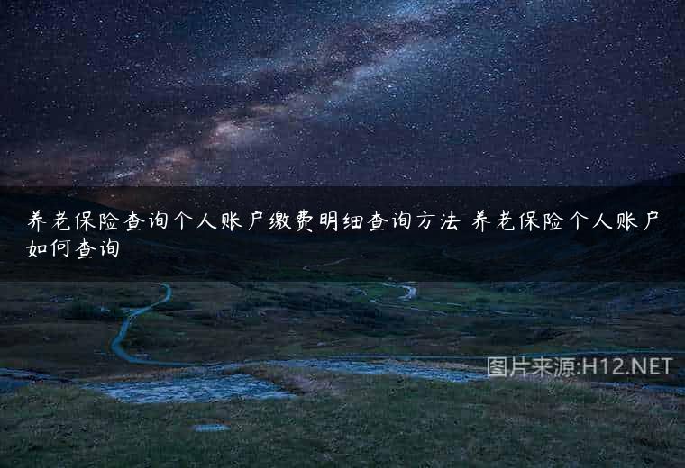 养老保险查询个人账户缴费明细查询方法 养老保险个人账户如何查询