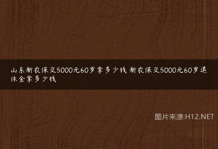 山东新农保交5000元60岁拿多少钱 新农保交5000元60岁退休金拿多少钱