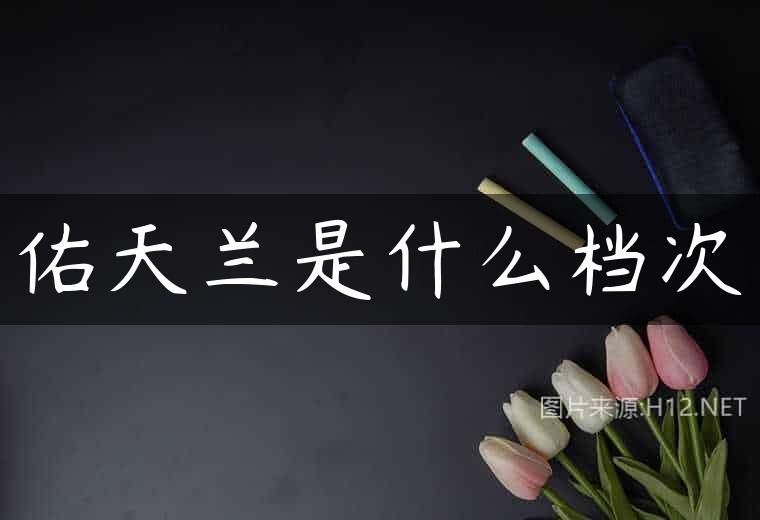 佑天兰是什么档次