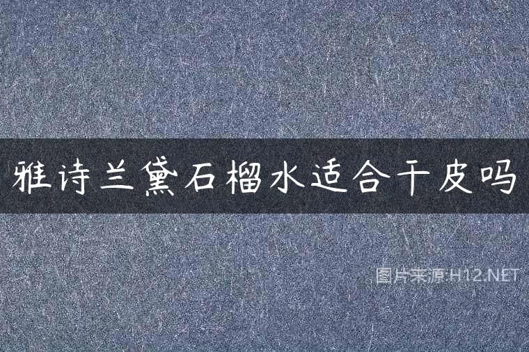 雅诗兰黛石榴水适合干皮吗