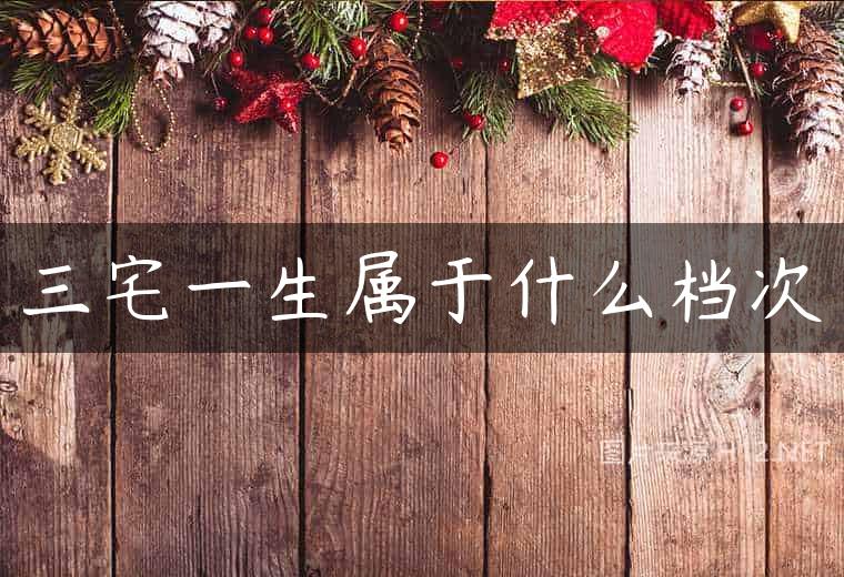 三宅一生属于什么档次