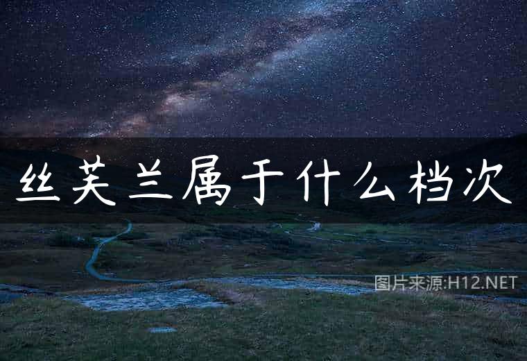 丝芙兰属于什么档次