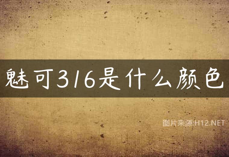 魅可316是什么颜色