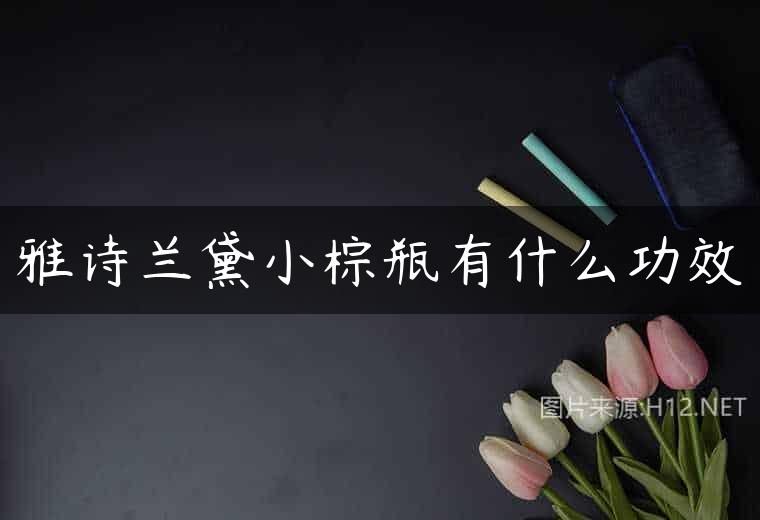 雅诗兰黛小棕瓶有什么功效
