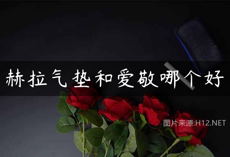 赫拉气垫和爱敬哪个好
