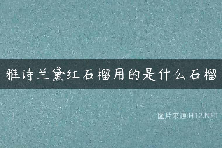 雅诗兰黛红石榴用的是什么石榴
