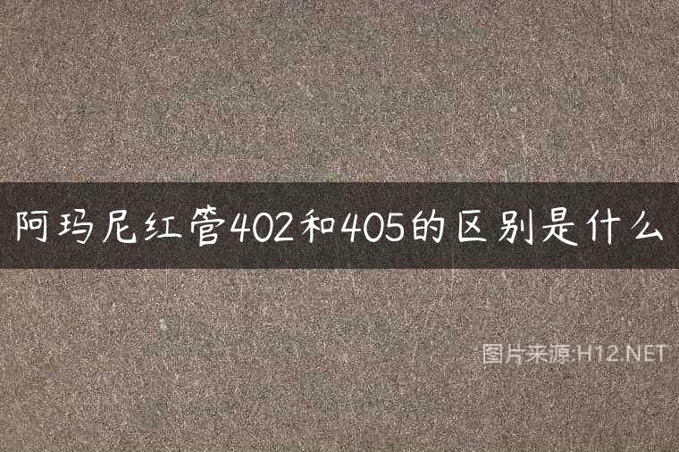阿玛尼红管402和405的区别是什么