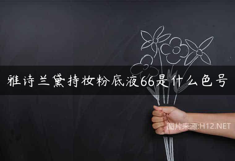 雅诗兰黛持妆粉底液66是什么色号