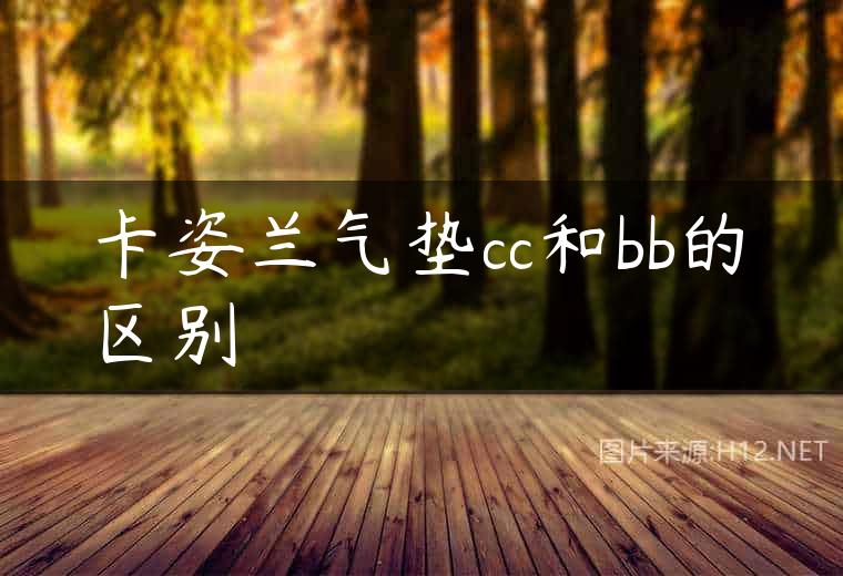 卡姿兰气垫cc和bb的区别