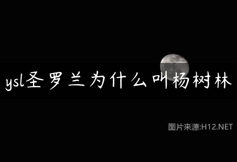 ysl圣罗兰为什么叫杨树林