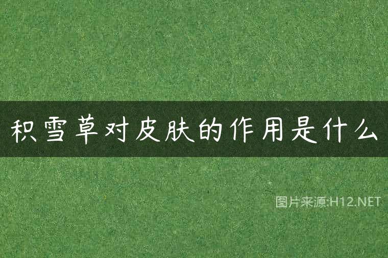 积雪草对皮肤的作用是什么