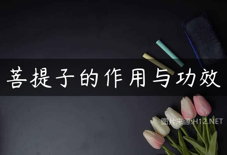 菩提子的作用与功效