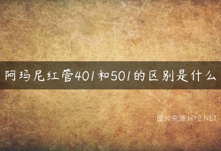 阿玛尼红管401和501的区别是什么