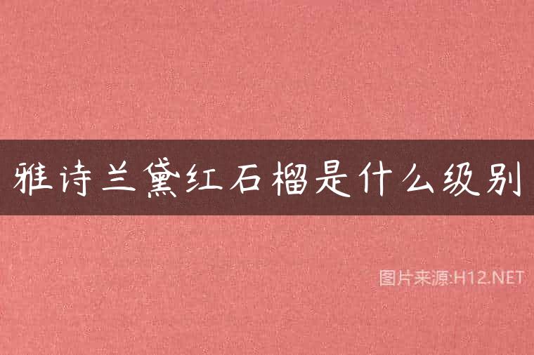 雅诗兰黛红石榴是什么级别