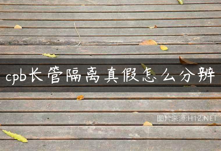 cpb长管隔离真假怎么分辨