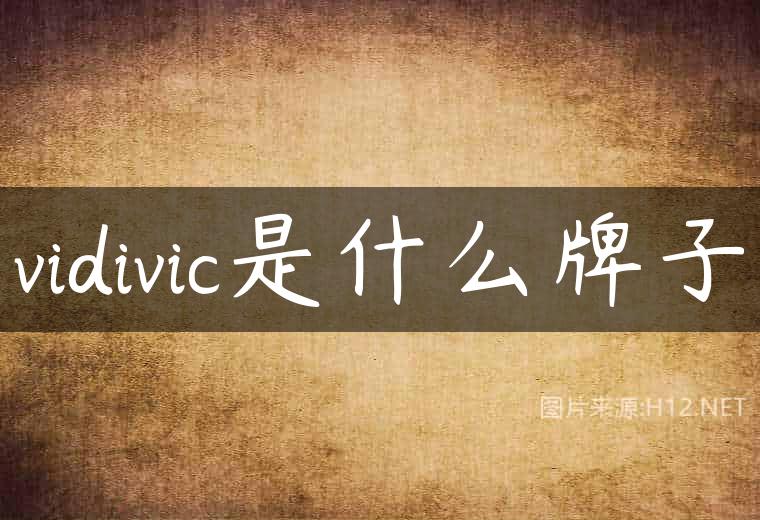 vidivic是什么牌子