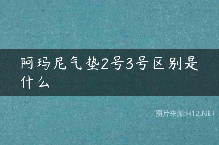 阿玛尼气垫2号3号区别是什么