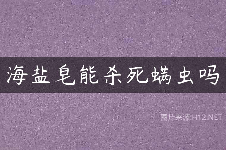 海盐皂能杀死螨虫吗