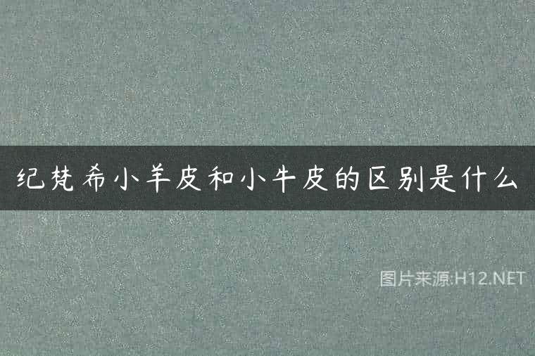 纪梵希小羊皮和小牛皮的区别是什么