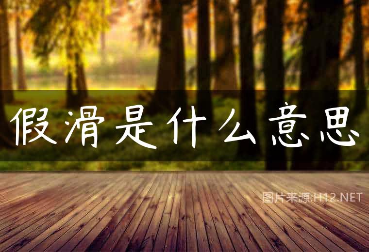 假滑是什么意思