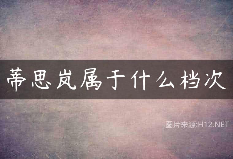 蒂思岚属于什么档次