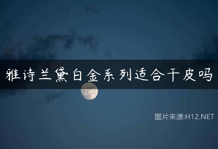 雅诗兰黛白金系列适合干皮吗