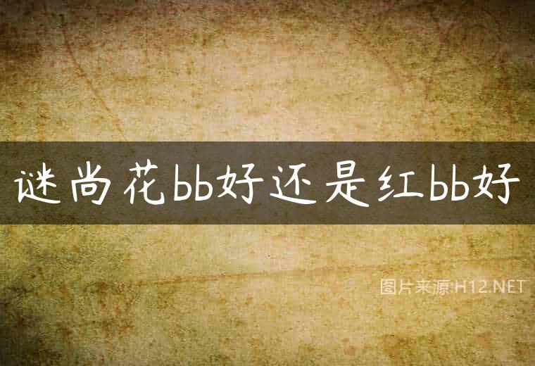 谜尚花bb好还是红bb好