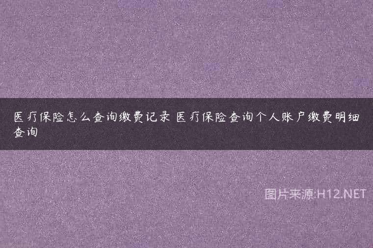 医疗保险怎么查询缴费记录 医疗保险查询个人账户缴费明细查询