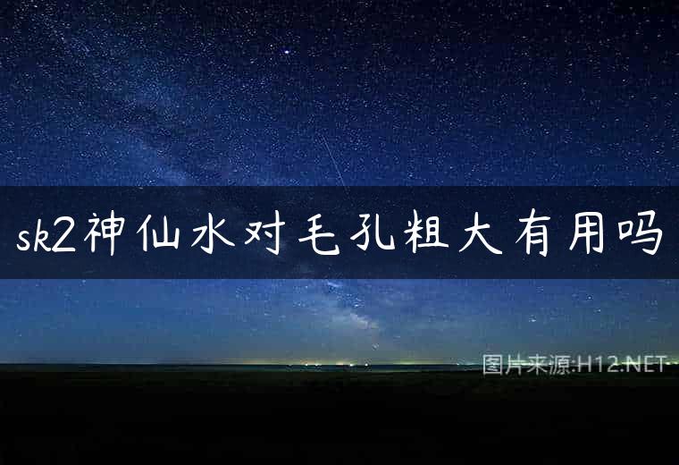 sk2神仙水对毛孔粗大有用吗