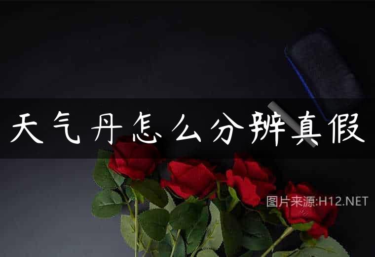天气丹怎么分辨真假