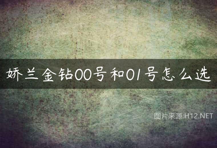 娇兰金钻00号和01号怎么选