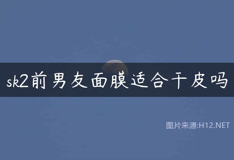 sk2前男友面膜适合干皮吗