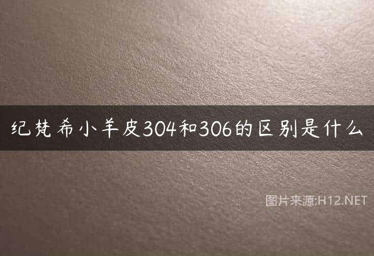 纪梵希小羊皮304和306的区别是什么