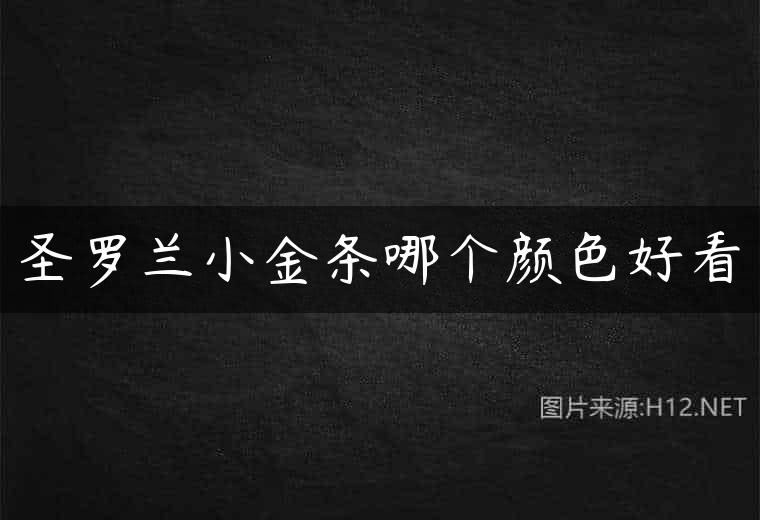 圣罗兰小金条哪个颜色好看