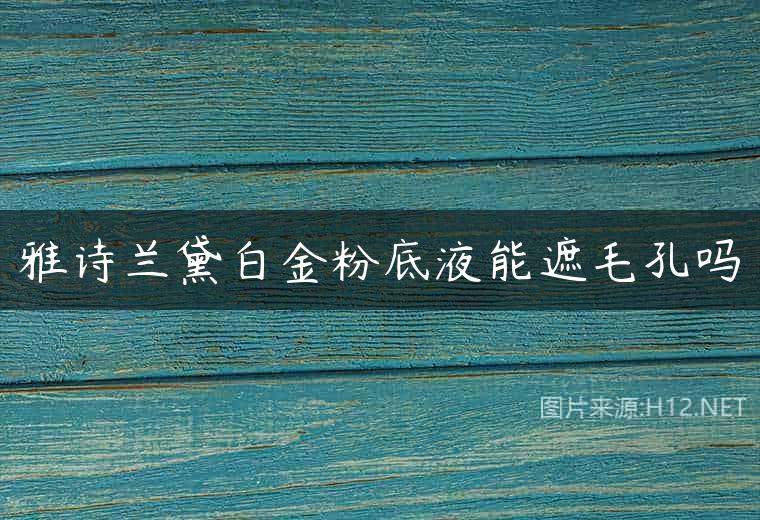 雅诗兰黛白金粉底液能遮毛孔吗