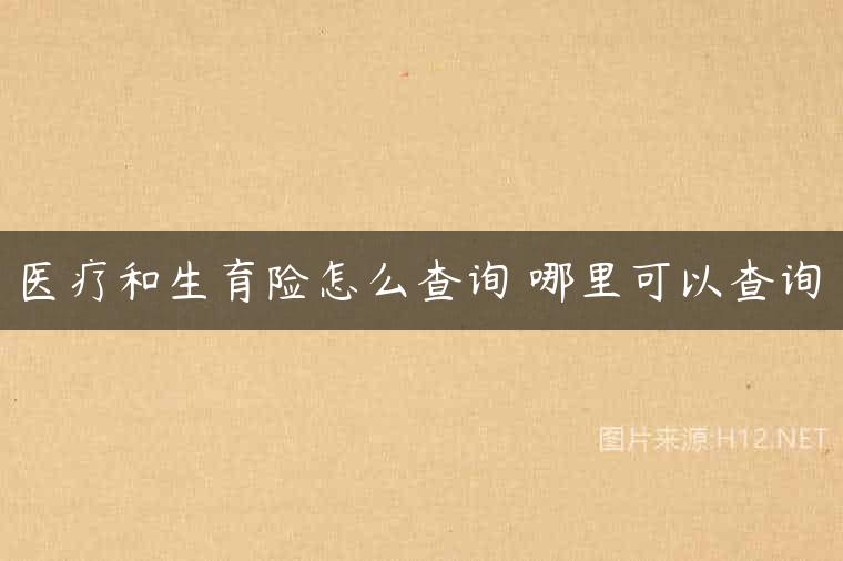 医疗和生育险怎么查询 哪里可以查询