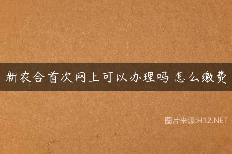 新农合首次网上可以办理吗 怎么缴费