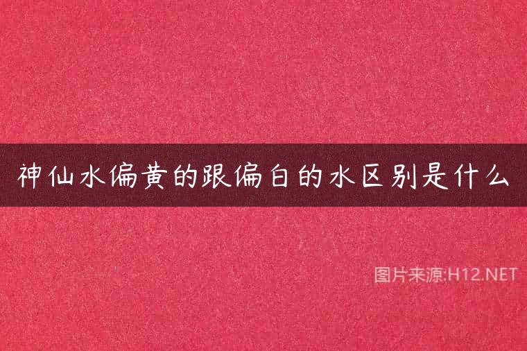 神仙水偏黄的跟偏白的水区别是什么