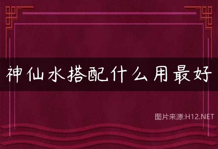 神仙水搭配什么用最好
