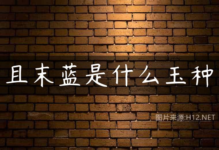 且末蓝是什么玉种
