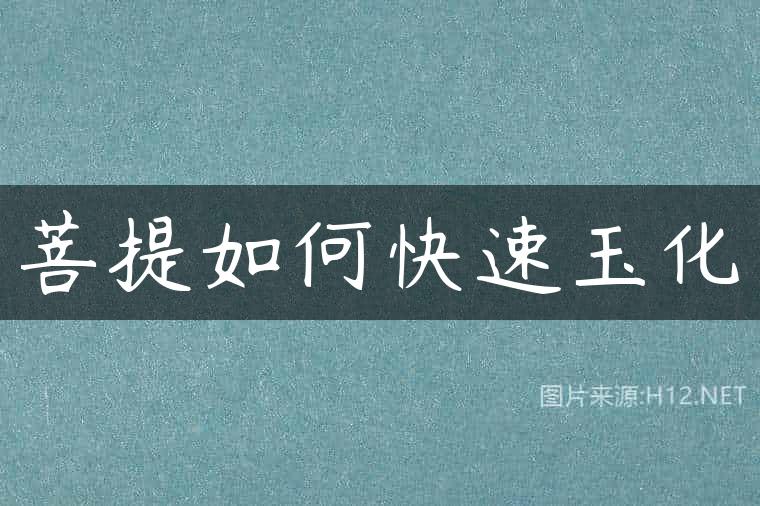 菩提如何快速玉化