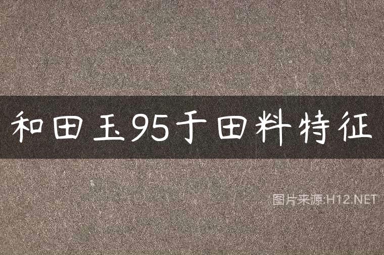 和田玉95于田料特征
