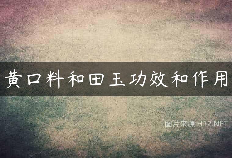 黄口料和田玉功效和作用