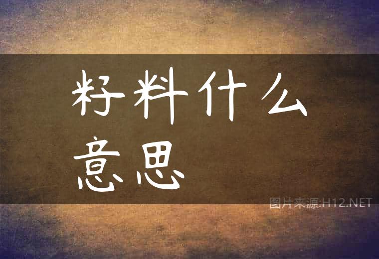 籽料什么意思