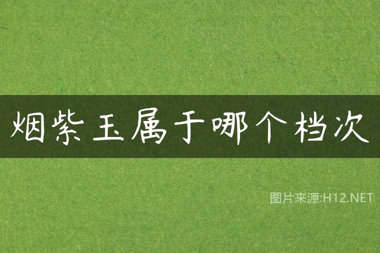 烟紫玉属于哪个档次