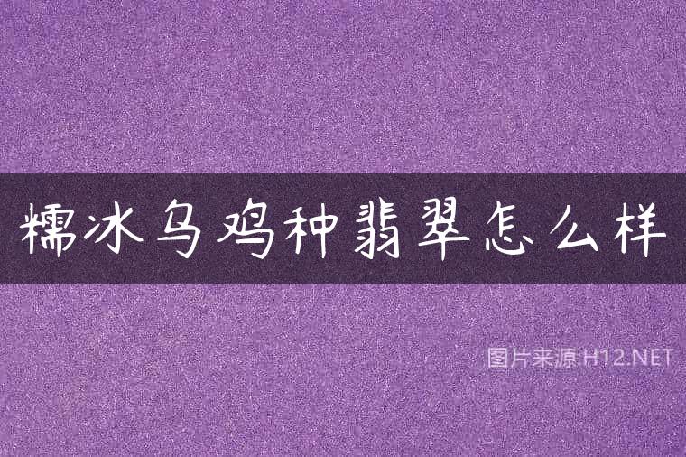 糯冰乌鸡种翡翠怎么样