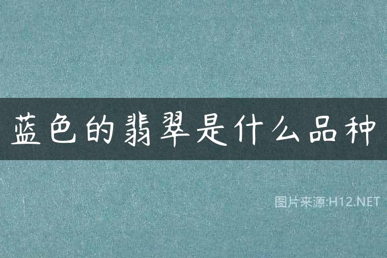 蓝色的翡翠是什么品种