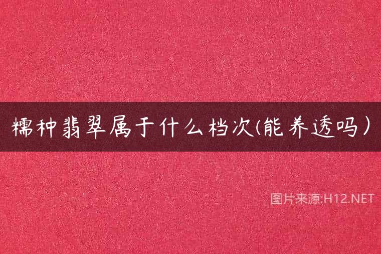 糯种翡翠属于什么档次(能养透吗）